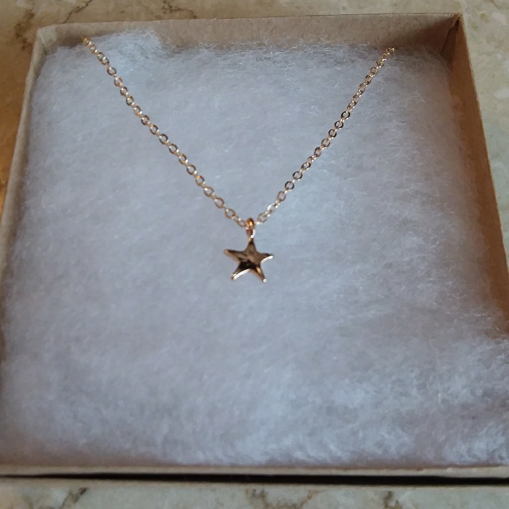 Petite Gold Tone Star Necklace